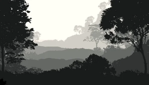 Abstrakcyjne Tło Mglistych Wzgórz Mgle Lasu Mgła — Zdjęcie stockowe