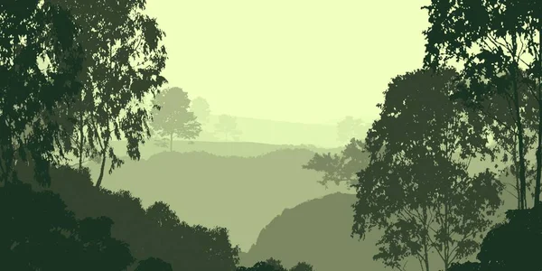 霧と森林ヘイズの霧の丘と抽象的な背景 — ストック写真