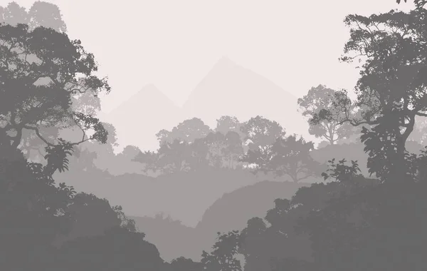 雾雾和森林阴霾中雾蒙蒙的山丘的抽象背景 — 图库照片