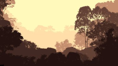 Sis ve orman pus ağaçları ile sisli tepeler ile Soyut zemin.