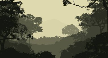 Sis ve orman pus ağaçları ile sisli tepeler ile Soyut zemin.