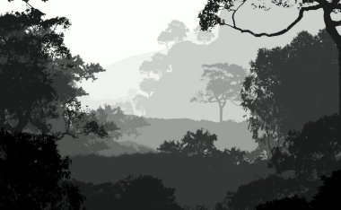 Sis ve orman pus ağaçları ile sisli tepeler ile Soyut zemin.