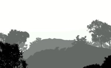 Sis ve orman pus ağaçları ile sisli tepeler ile Soyut zemin.