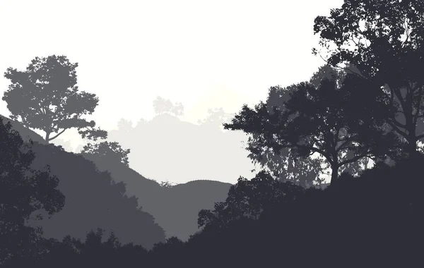 Abstraktní Pozadí Mlžnými Kopci Stromy Mlze Lesních Oparu — Stock fotografie