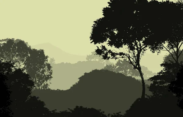 抽象背景与雾蒙蒙的山丘与树木在雾和森林阴霾 — 图库照片