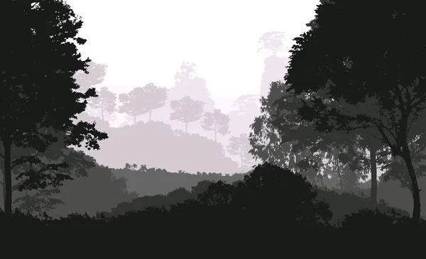Fondo Abstracto Con Colinas Brumosas Con Árboles Niebla Neblina Forestal — Foto de Stock