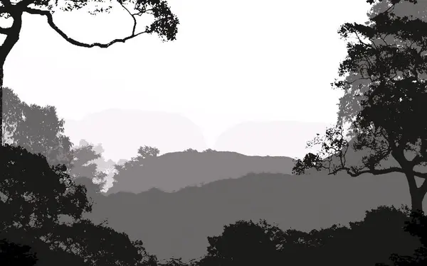 抽象背景与雾蒙蒙的山丘与树木在雾和森林阴霾 — 图库照片