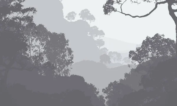 Abstract Backdrop Misty Hills Trees Fog Forest Haze — Stock Photo, Image