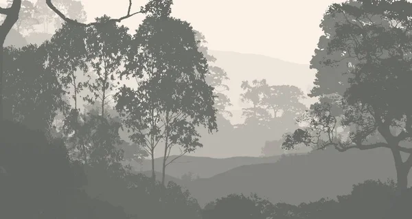 Абстрактний Фон Туманними Пагорбами Деревами Тумані Лісовим Туманом — стокове фото
