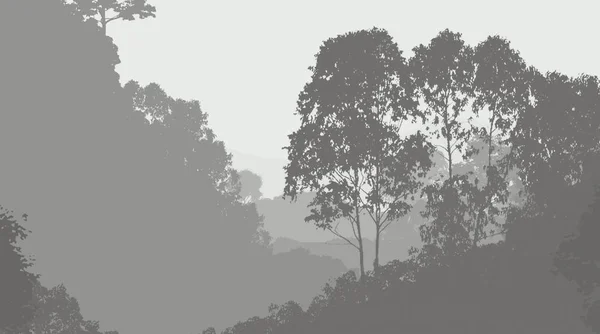 Абстрактный Фон Туманными Холмами Деревьями Тумане Лесной Дымке — стоковое фото