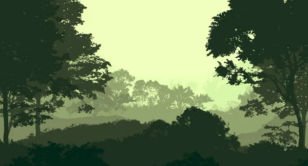 Fondo Abstracto Con Colinas Brumosas Con Árboles Niebla Neblina Forestal —  Fotos de Stock