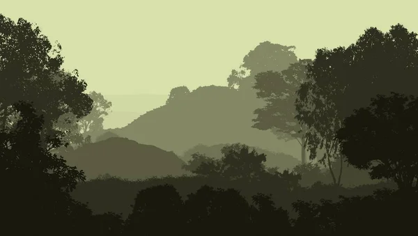 Sis Orman Pus Ağaçları Ile Sisli Tepeler Ile Soyut Zemin — Stok fotoğraf