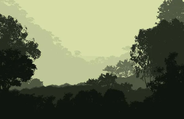 Sis Orman Pus Ağaçları Ile Sisli Tepeler Ile Soyut Zemin — Stok fotoğraf