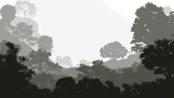 霧と森のヘイズの木と霧の丘と抽象的な背景 — ストック写真