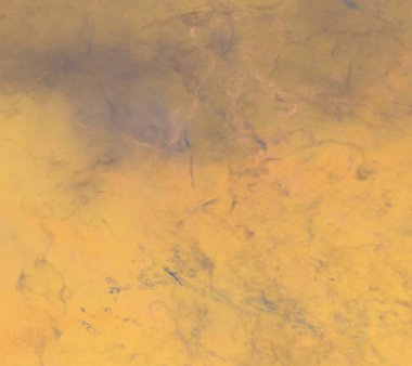 metin için alan ile renkli mermer doku ile soyut arka plan