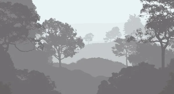 Абстрактний Фон Туманними Пагорбами Силуетами Дерев Лісовим Туманом — стокове фото