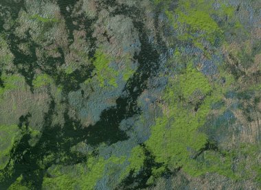 metin veya resim alanı olan Grunge arka plan