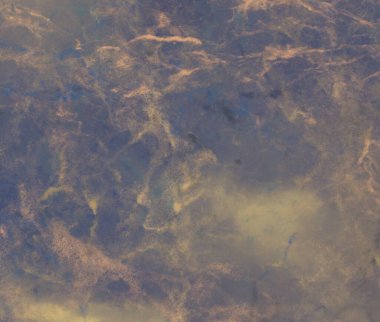 Metin için alanı olan soyut arkaplan