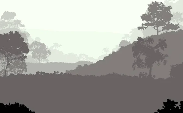 Abstracte Achtergrond Met Mistige Heuvels Bomen Silhouetten Met Forest Haze — Stockfoto