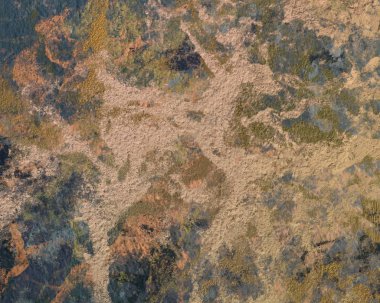 metin veya resim alanı olan Grunge arka plan