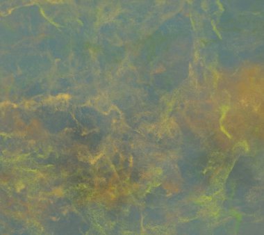 Sorunsuz antika arka plan