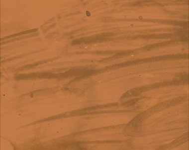 grunge desensoyut suluboya darbeleri ve lekeleri