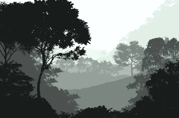 Abstract Background Foggy Hills Trees Silhouettes Forest Haze — Stock Photo, Image