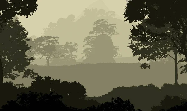 Abstract Background Foggy Hills Trees Silhouettes Forest Haze — Stock Photo, Image