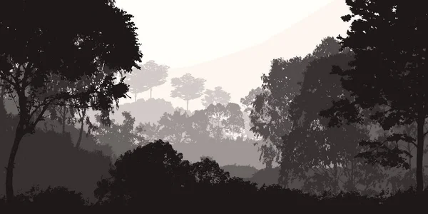 Abstract Background Foggy Hills Trees Silhouettes Forest Haze — Stock Photo, Image