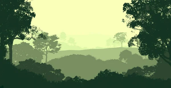 Абстрактный Фон Туманными Шипами Силуэтами Деревьев Лесной Дымкой — стоковое фото