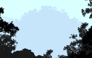 sisli orman ağaçları ile soyut siluetli arka plan