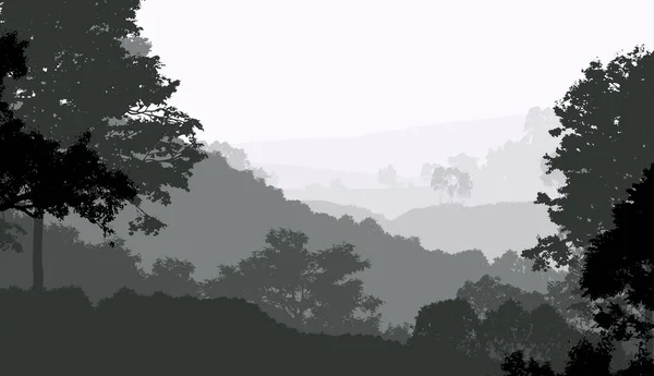 Illustrazione Alberi Nella Nebbia Foresta Profonda Foschia Colline Coperte Piante — Foto Stock