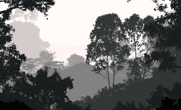 Ilustración Árboles Niebla Niebla Profunda Del Bosque Colinas Cubiertas Por —  Fotos de Stock