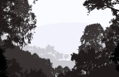 sisli orman ağaçları ile soyut siluetli arka plan