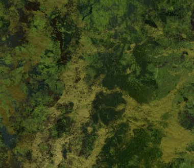 Ormanda yeşil yapraklar