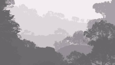 sisli orman ağaçları ile soyut siluetli arka plan