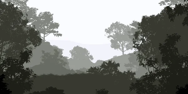 Абстрактний Силуетний Фон Туманними Лісовими Деревами — стокове фото