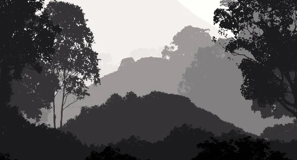 Abstrait Silhouette Arrière Plan Avec Des Arbres Forestiers Brumeux — Photo