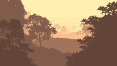 sisli orman ağaçları ile soyut siluetli arka plan