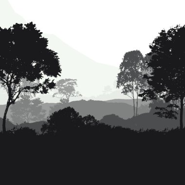 sisli orman ağaçları ile soyut siluetli arka plan