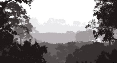 sisli orman ağaçları ile soyut siluetli arka plan