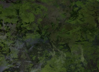 metin için alanı olan grunge doku arkaplanı