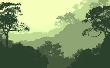 2d illüstrasyon. Sisteki ağaçlar. Derin orman sisi. Bitkiler ve yapraklarla kaplı tepeler. Çalılar ve çalılar. Görkemli manzara. Sakin yer.