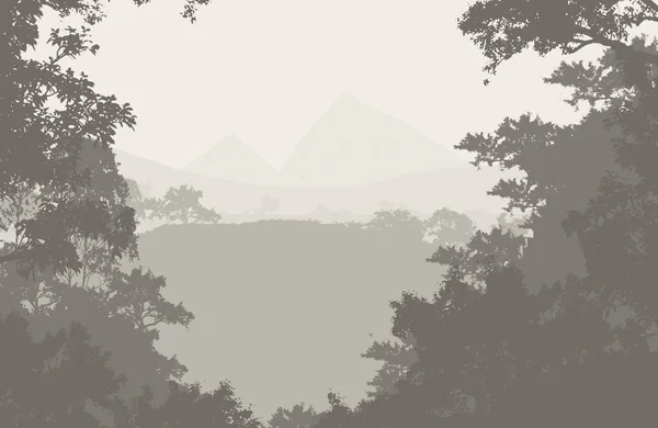抽象剪影背景与雾的森林树木 — 图库照片