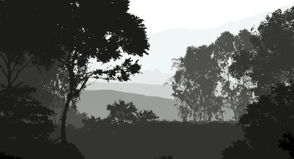 Illustrazione Alberi Nella Nebbia Foresta Profonda Foschia Colline Coperte Piante — Foto Stock