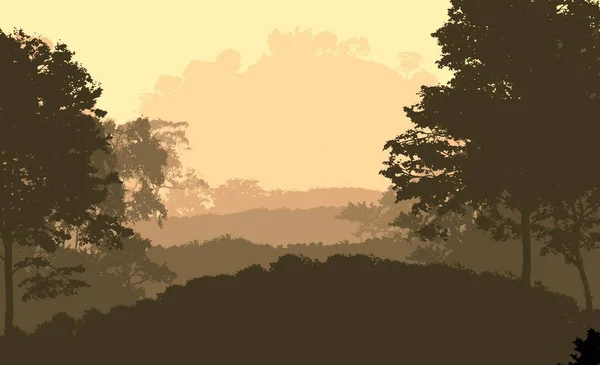 Streszczenie Sylwetki Tło Mgliste Drzewa Lasu — Zdjęcie stockowe