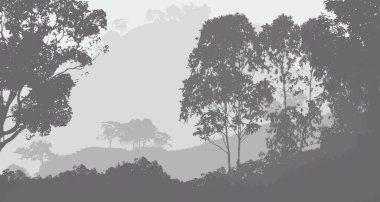 sisli orman ağaçları ile soyut siluetli arka plan