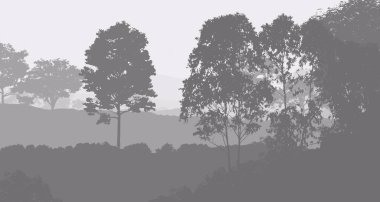 sisli orman ağaçları ile soyut siluetli arka plan