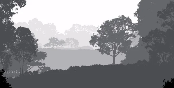 Absztrakt Körvonalas Háttér Ködös Erdei Fák — Stock Fotó