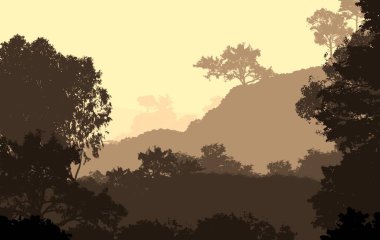 sisli orman ağaçları ile soyut siluetli arka plan